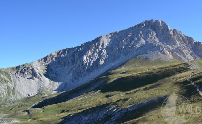 Campo pericoli escursioni