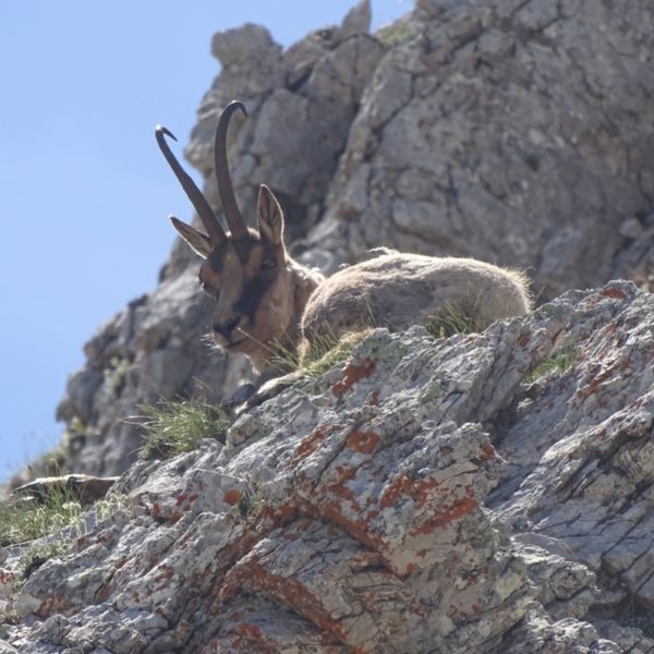 Trekking Campo Pericoli