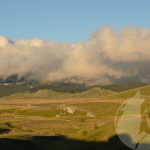 campo imperatore camicia