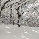 neve abruzzo