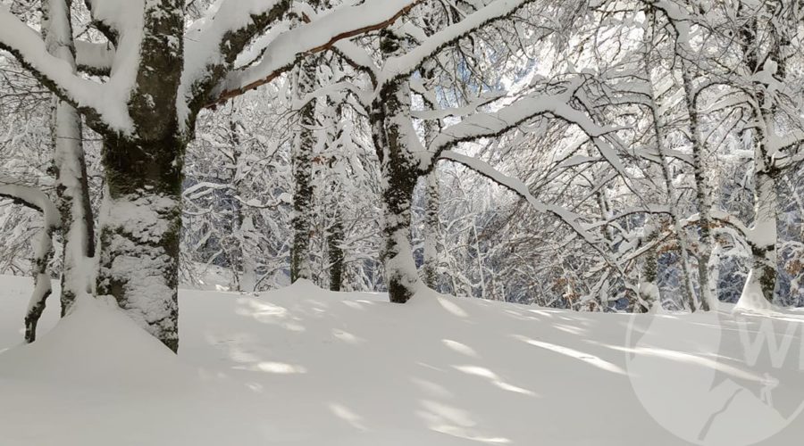 neve abruzzo