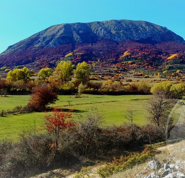 trekking dei dinosauri