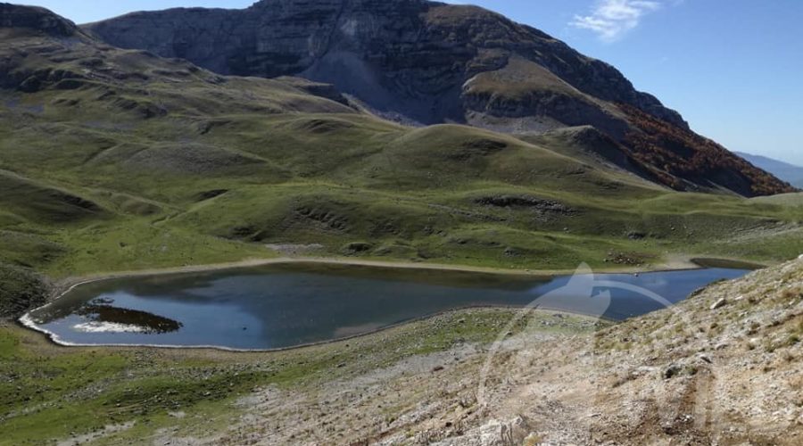 duchessa lago