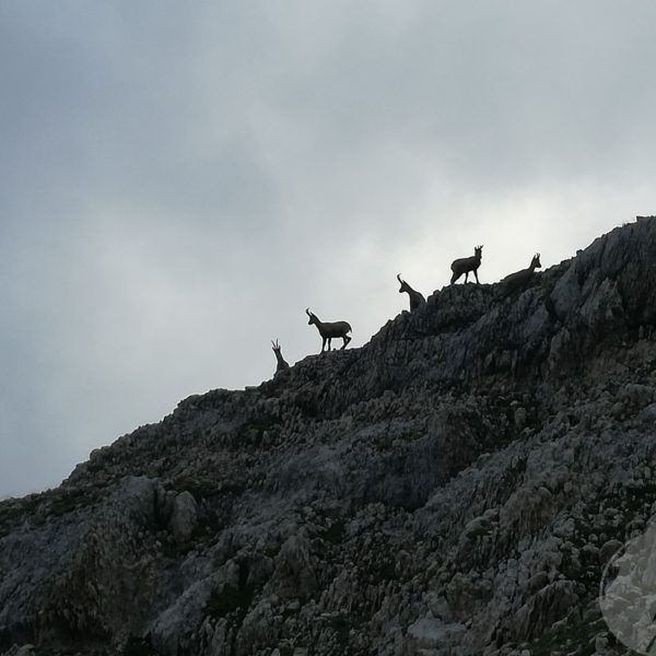 escursione monte amaro