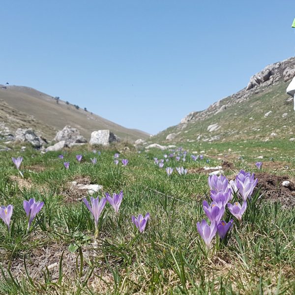 trekking famiglie abruzzo