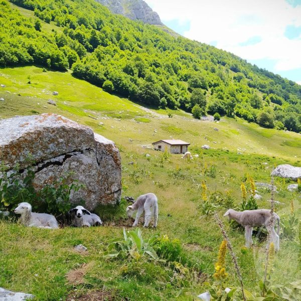 pasquetta abruzzo