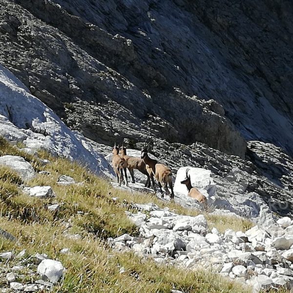 foto abruzzo