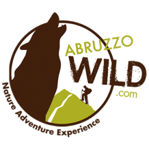 www.abruzzowild.com