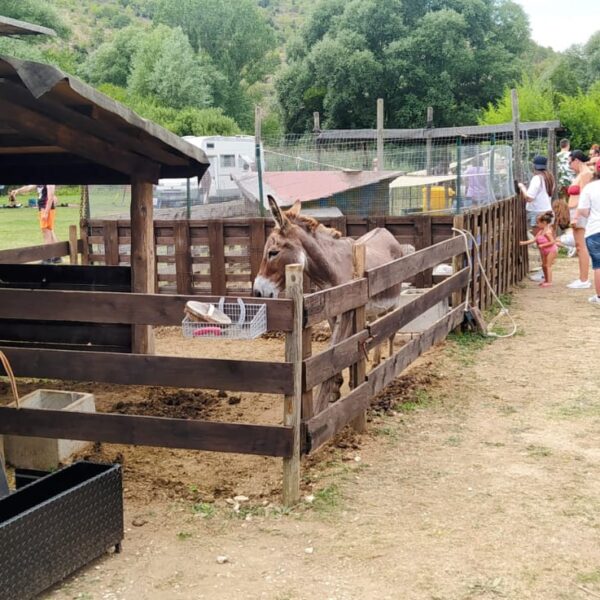 fattoria didattica canoa sul tirino