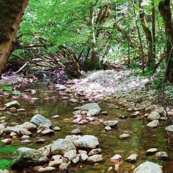 Trekking chiarino