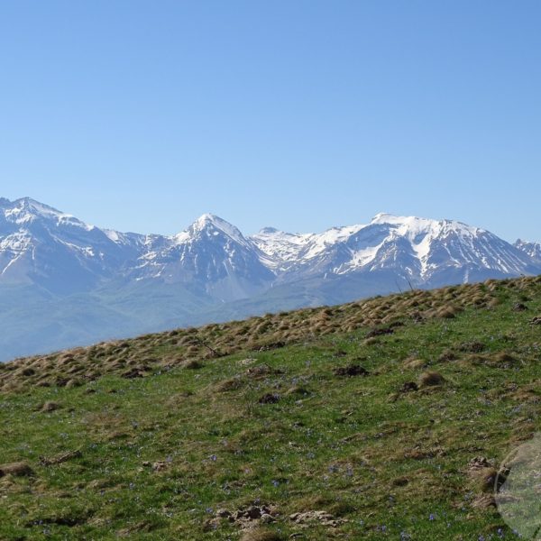 monte gorzano