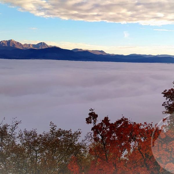 monte coppe