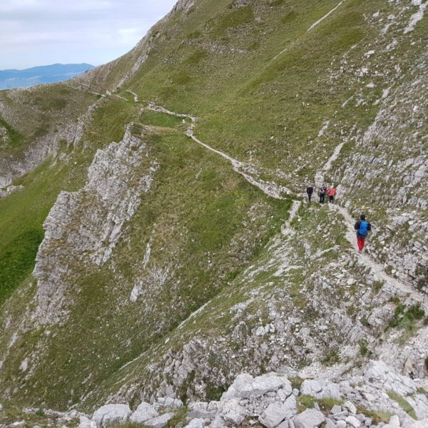 pizzo cefalone