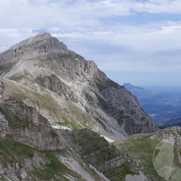 pizzo intermesoli