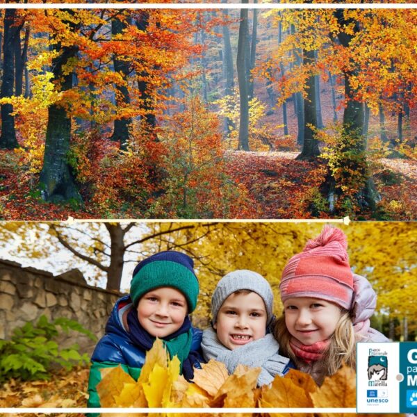 Trekking Bosco di Sant'Antonio