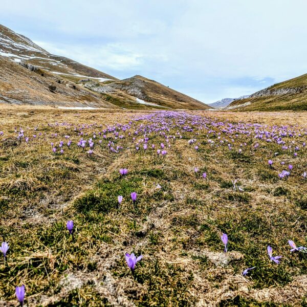 WhatsApp Image 2026-02-18 at 22.18.13