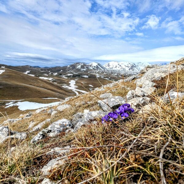 WhatsApp Image 2026-02-18 at 22.18.38