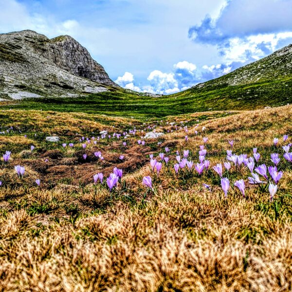 WhatsApp Image 2026-03-18 at 16.48.11