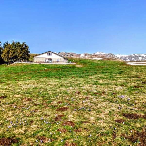 WhatsApp Image 2026-03-18 at 16.49.18