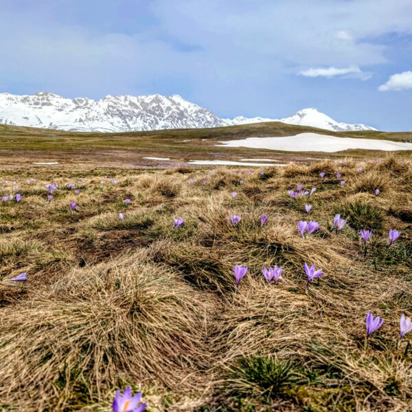 WhatsApp Image 2026-03-18 at 16.50.29