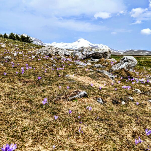 WhatsApp Image 2026-03-18 at 16.52.59