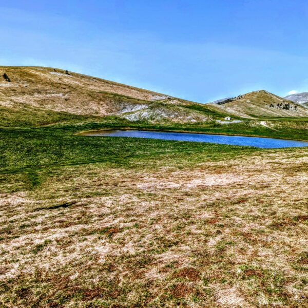 WhatsApp Image 2026-03-18 at 16.54.39